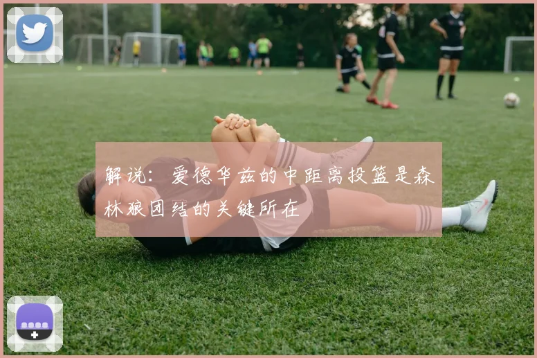 解说：爱德华兹的中距离投篮是森林狼团结的关键所在