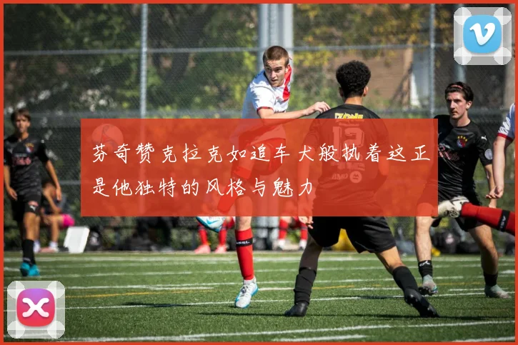芬奇赞克拉克如追车犬般执着这正是他独特的风格与魅力